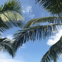 먹는거에 진심입니다.