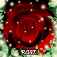 마법 같은 동화 속 세상 네버랜드(부제:마법동화)