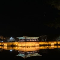 체리의 일상 : 놀고 먹고