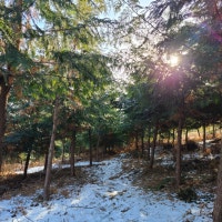 맛집,건강,여행,캠핑,리뷰,생활