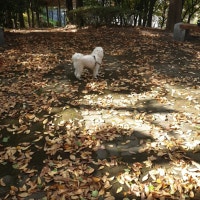 즐거움은 여기..