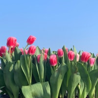 언더더씨의 블로그