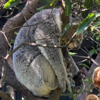 그래도 억울하지는 말아야죠