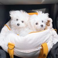 밤벼리’s pit a pat life ❤️