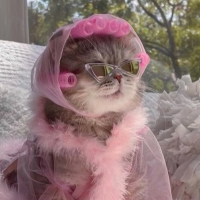 워니의 놀고먹는 일상