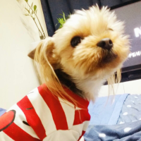 몽이아빠의 맛있는 이야기