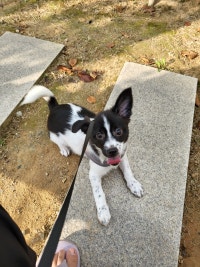 하고싶은게너무많아