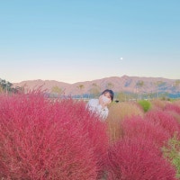 ᰔ일상 틈 사이 여행 ᰔᩚ