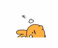 부산분양의시작