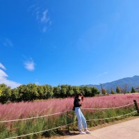 행복한 가족 이야기