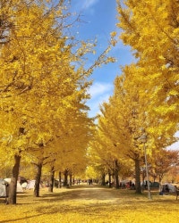 식돌쓰의 먹거리 탐방일기