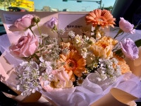 호잇포잇 포비칭구