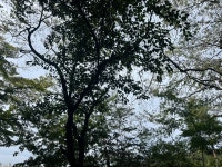 쩝쩝박사의 블로그