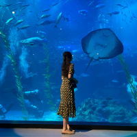 비 저니쉬 ; 마음이 쉬어가는 공간