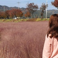 불량오리의 오늘도 맑음