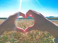 일상의, 묘야 :D