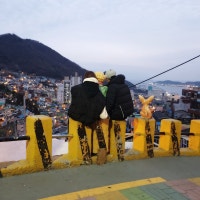 꽁냥꽁냥일상블러그