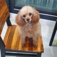 골드밤의 황금빛 가득한 책방