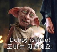 도비는 자유이고싶다