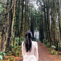 초히의 인생살이