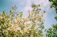 싱그러운 세상이야