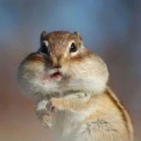 하고싶은거 다 하기