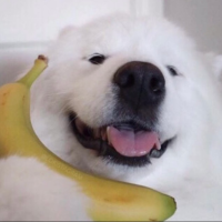 혜구마의 일상 :)