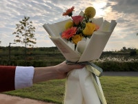 커리젤리의 머리 굴리는 이야기