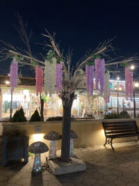 소복눈사람의 블로그