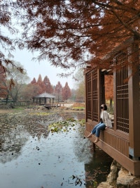 현이의 오늘 하루