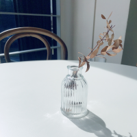 소소한일상 story