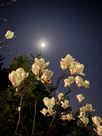 물음표를 띄우는 삶