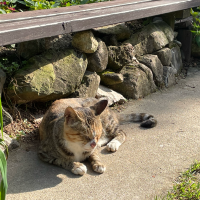 Men Cave, 이것저것 기록노트