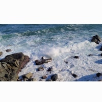 세다가의 세상속으로