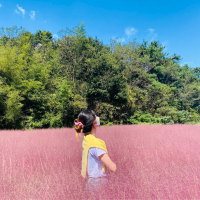소심한 관종의 소소한 일상 담기