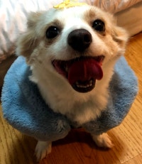 소밍 델리 : 소금이 와 친밍이 daily Life