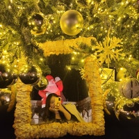 소소하지만 즐거운 일상❣