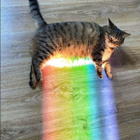 윤곰의 맛집탐방