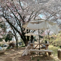 행복한 소소의 일상⚘