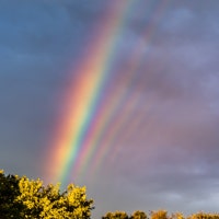 지개의 맛집탐방