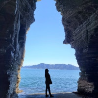 안농, 난 김빈틈