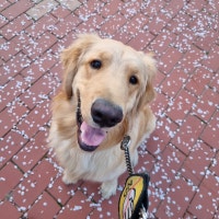 감자는 오늘도 행복해:>