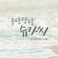 우당탕탕 슈가씨°