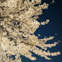 평범한 다이어리