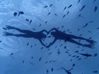 덩이의 맛있는 여행