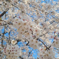 낌나의 여행일지