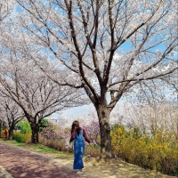 희니의 별 아래 옥상