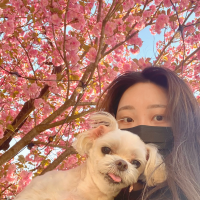 ♡̆̈₊·*◟(⌯ˇ- ˇ⌯)◜‧*・