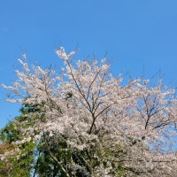 쥴라이용이의 일상 이야기: