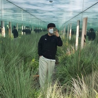 돈이의 일상과 맛집 기록